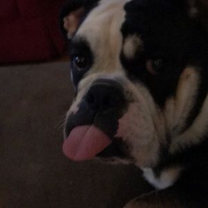 Meet your Posher, Kelly